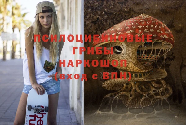 гидропоника Белокуриха