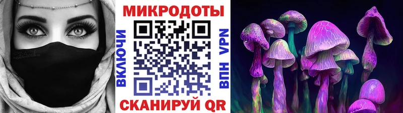 как найти закладки  Велиж  Псилоцибиновые грибы Psilocybe 