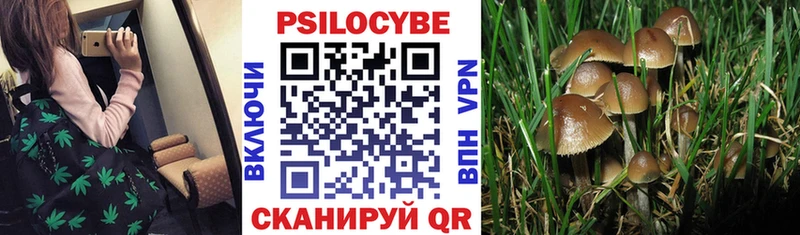 Псилоцибиновые грибы GOLDEN TEACHER Велиж